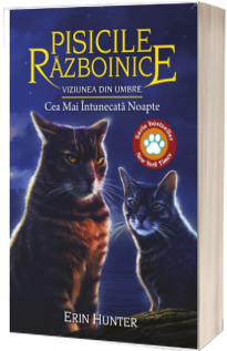 Viziunea din umbre. Cea Mai Intunecata Noapte