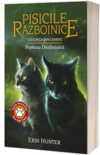 Viziunea din umbre. Furtuna Dezlantuita