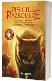 Viziunea din umbre. Misiunea Ucenicului