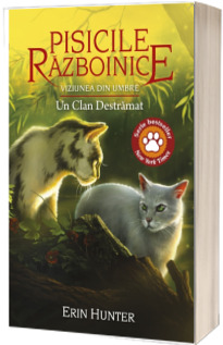 Viziunea din umbre. Un Clan Destramat