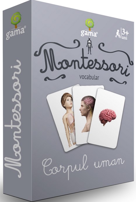 Vocabular - Corpul uman