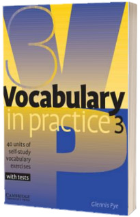 Vocabulary in Practice 3