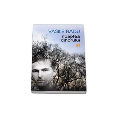 Noaptea dihorului - Vasile Radu