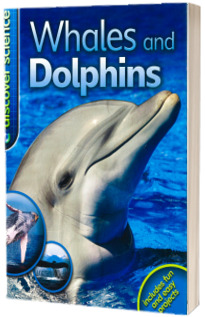 Whales and dolphins