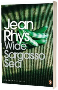 Wide Sargasso Sea