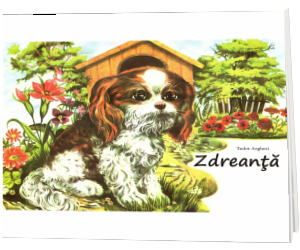 Zdreanta
