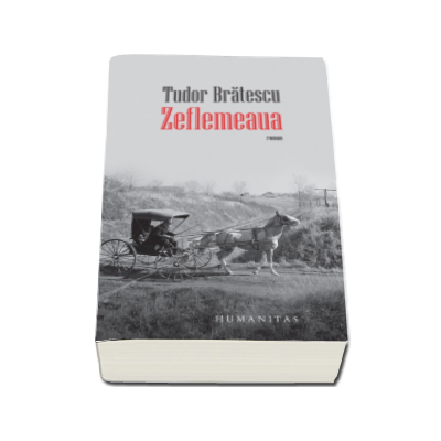 Zeflemeaua - Tudor Bratescu