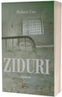 Ziduri